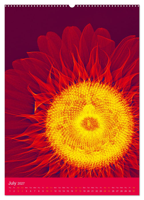 Blossoms between light and colour (CALVENDO Premium-Calendar 2027)