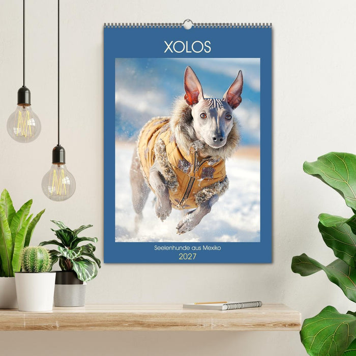 Xolos. Seelenhunde aus Mexiko (CALVENDO Wandkalender 2027)