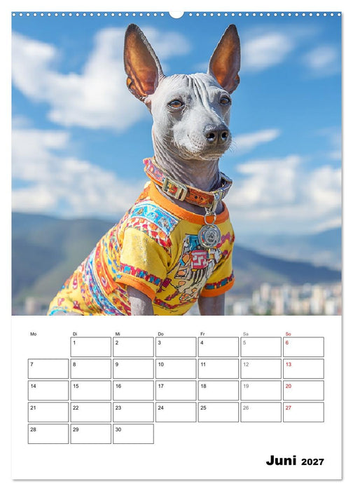 Xolos. Seelenhunde aus Mexiko (CALVENDO Wandkalender 2027)