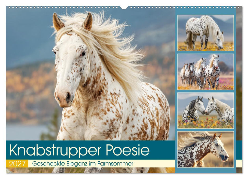 Knabstrupper Poesie. Gescheckte Eleganz im Farmsommer (CALVENDO Wandkalender 2027)