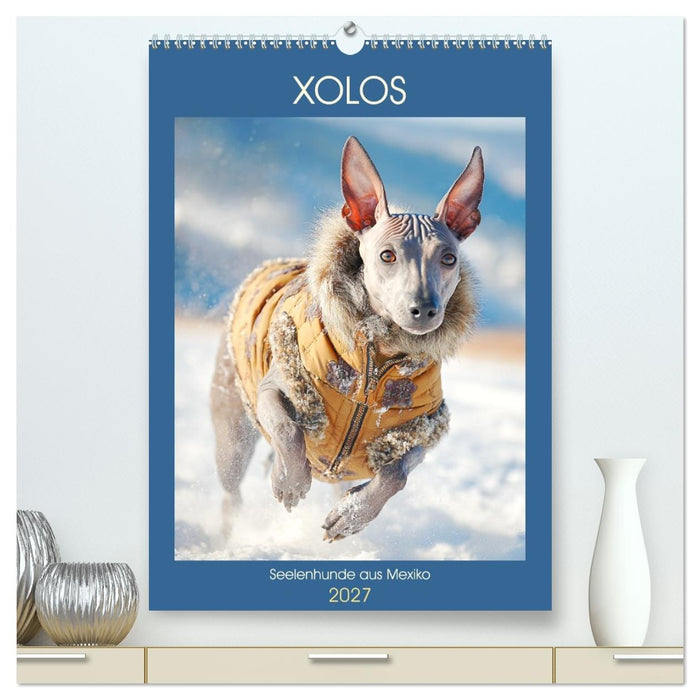 Xolos. Seelenhunde aus Mexiko (CALVENDO Premium Wandkalender 2027)