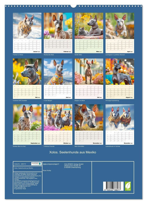 Xolos. Seelenhunde aus Mexiko (CALVENDO Premium Wandkalender 2027)