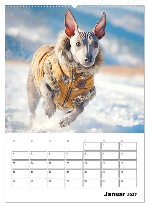 Xolos. Seelenhunde aus Mexiko (CALVENDO Premium Wandkalender 2027)