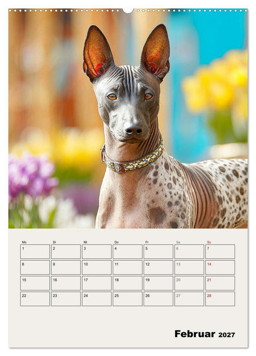Xolos. Seelenhunde aus Mexiko (CALVENDO Premium Wandkalender 2027)