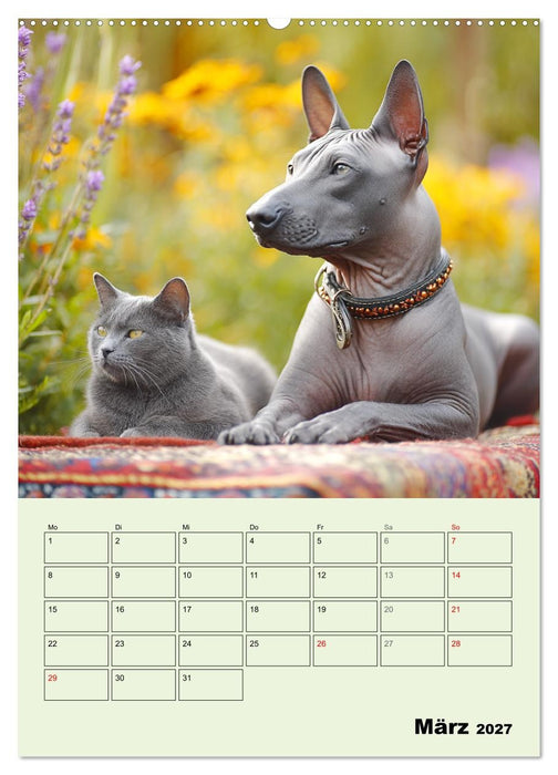 Xolos. Seelenhunde aus Mexiko (CALVENDO Premium Wandkalender 2027)