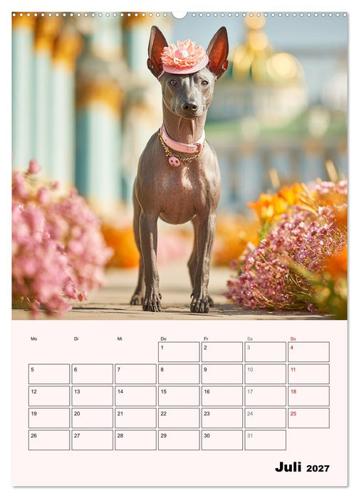 Xolos. Seelenhunde aus Mexiko (CALVENDO Premium Wandkalender 2027)
