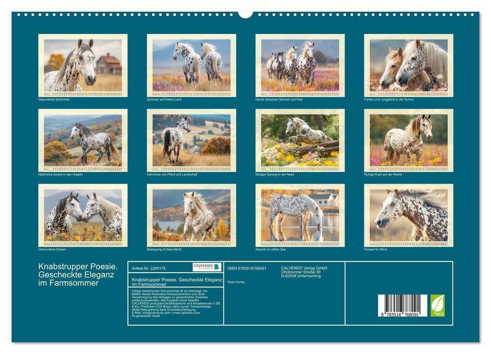 Knabstrupper Poesie. Gescheckte Eleganz im Farmsommer (CALVENDO Premium Wandkalender 2027)