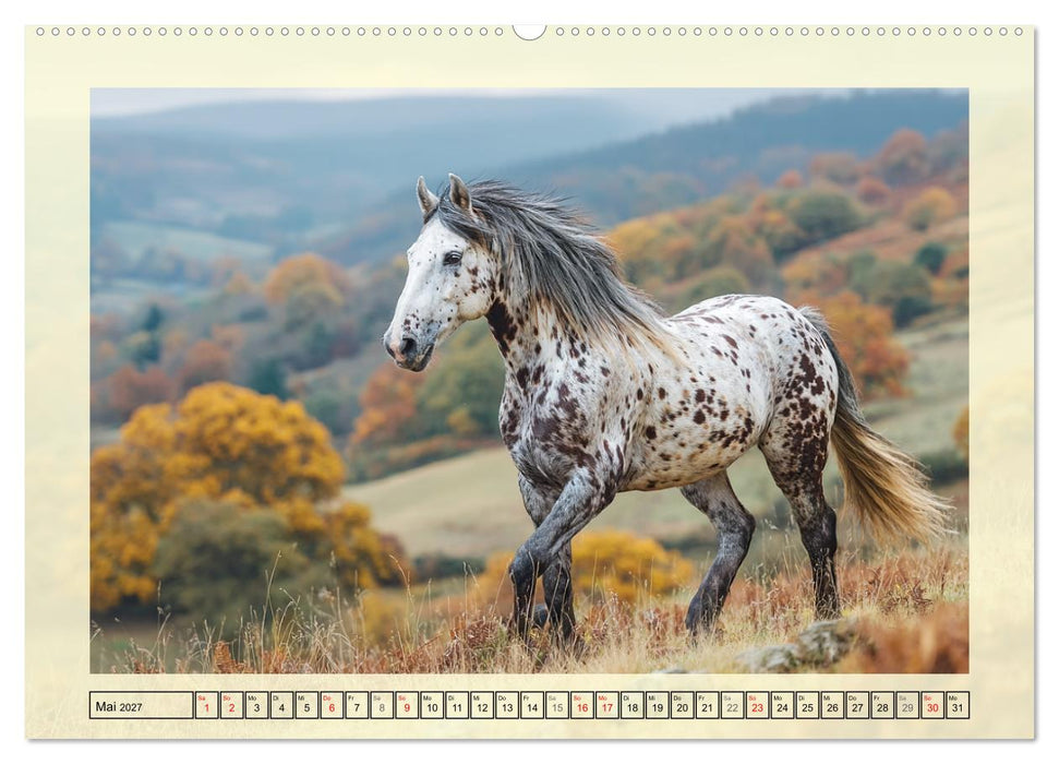 Knabstrupper Poesie. Gescheckte Eleganz im Farmsommer (CALVENDO Premium Wandkalender 2027)