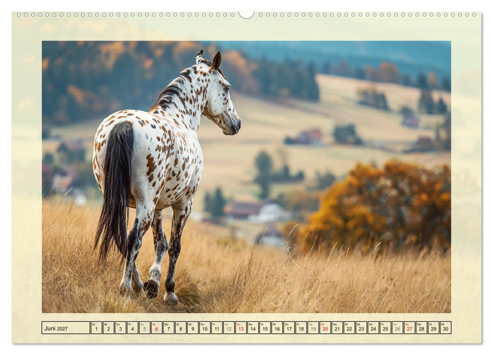 Knabstrupper Poesie. Gescheckte Eleganz im Farmsommer (CALVENDO Premium Wandkalender 2027)