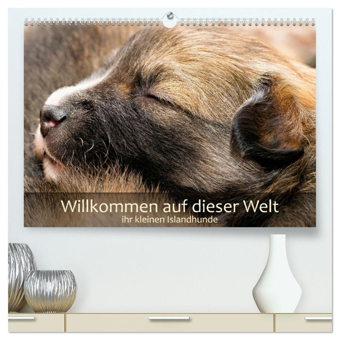 Willkommen auf dieser Welt ihr kleinen Islandhunde (CALVENDO Premium Wandkalender 2027)