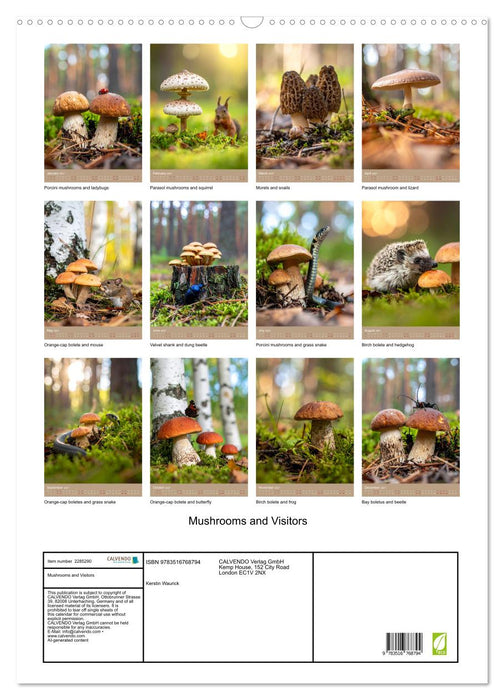 Mushrooms and Visitors (CALVENDO Monthly Calendar 2027)
