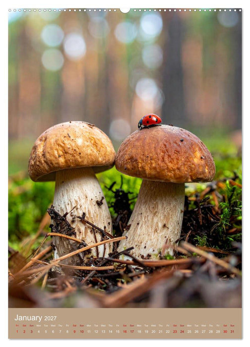 Mushrooms and Visitors (CALVENDO Monthly Calendar 2027)