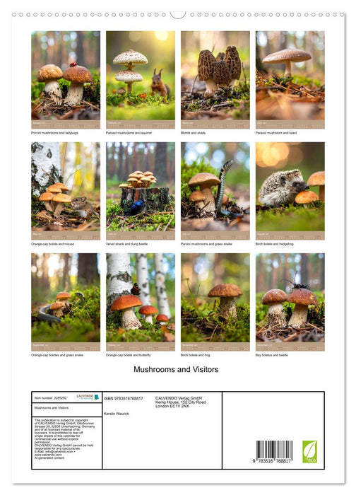 Mushrooms and Visitors (CALVENDO Premium-Calendar 2027)
