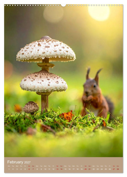 Mushrooms and Visitors (CALVENDO Premium-Calendar 2027)