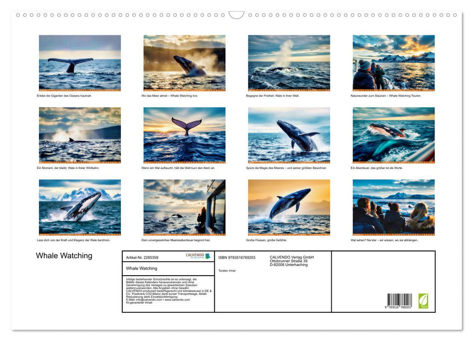 Whale Watching (CALVENDO Wandkalender 2027)