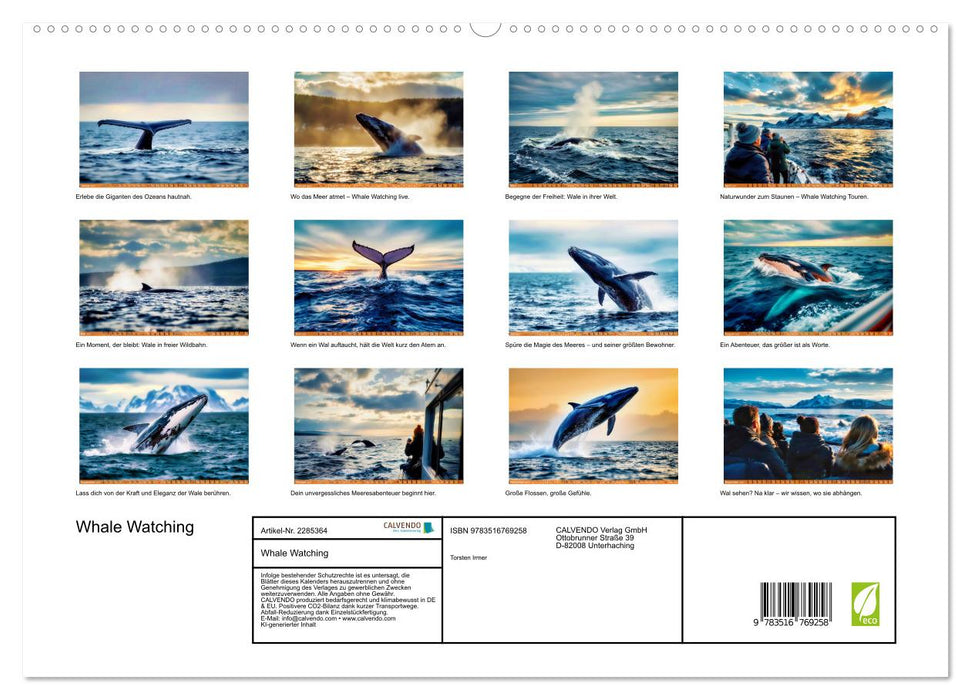 Whale Watching (CALVENDO Premium Wandkalender 2027)
