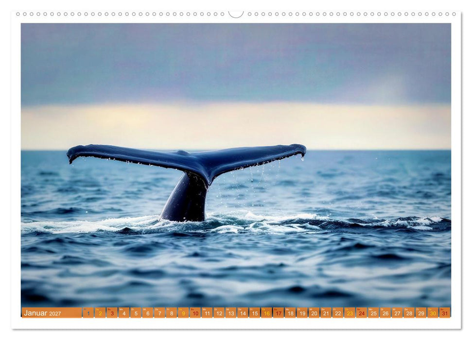 Whale Watching (CALVENDO Premium Wandkalender 2027)