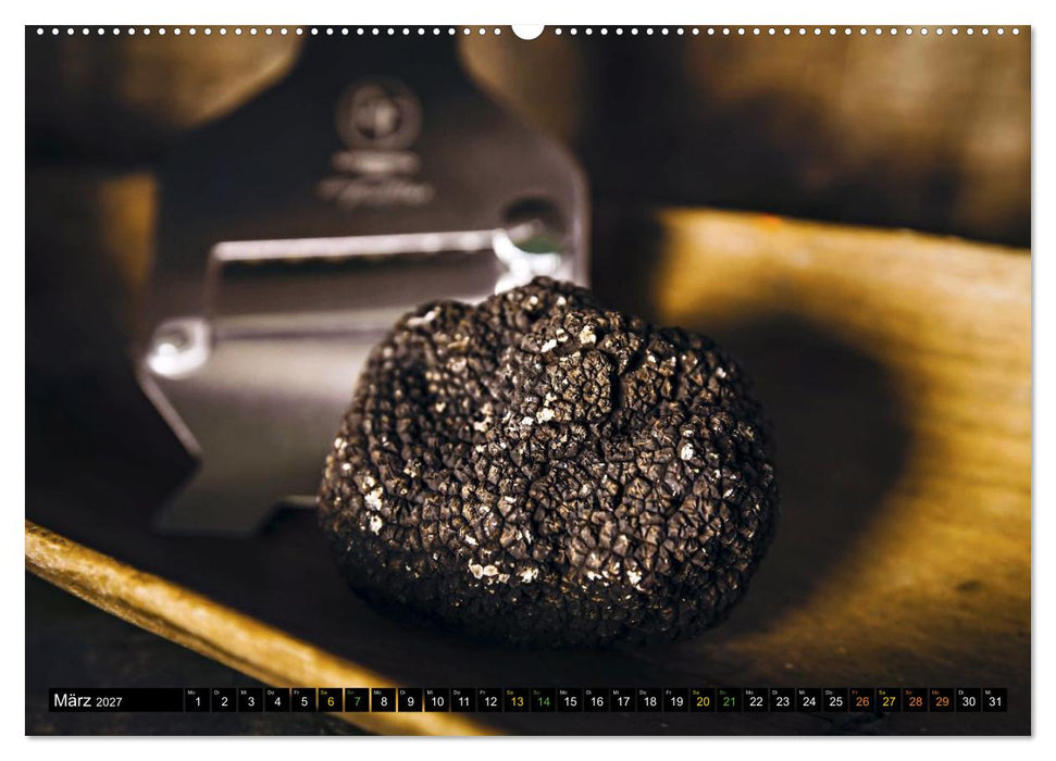 Trüffel - schwarzes Gold (CALVENDO Premium Wandkalender 2027)