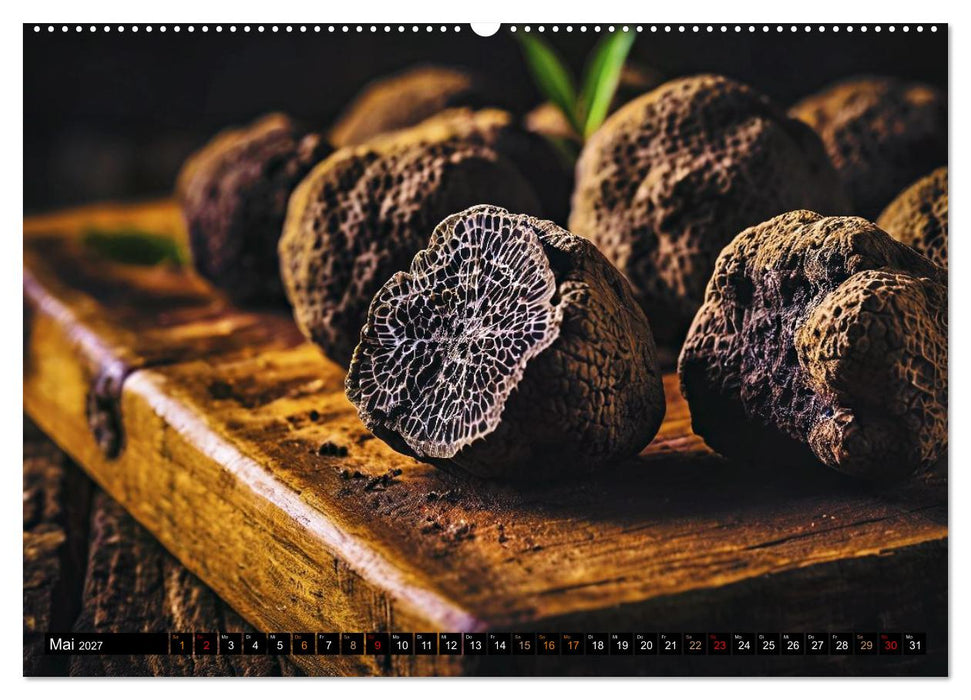 Trüffel - schwarzes Gold (CALVENDO Premium Wandkalender 2027)