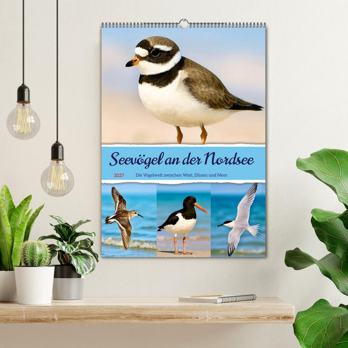 Seevögel an der Nordsee (CALVENDO Wandkalender 2027)