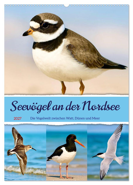 Seevögel an der Nordsee (CALVENDO Wandkalender 2027)