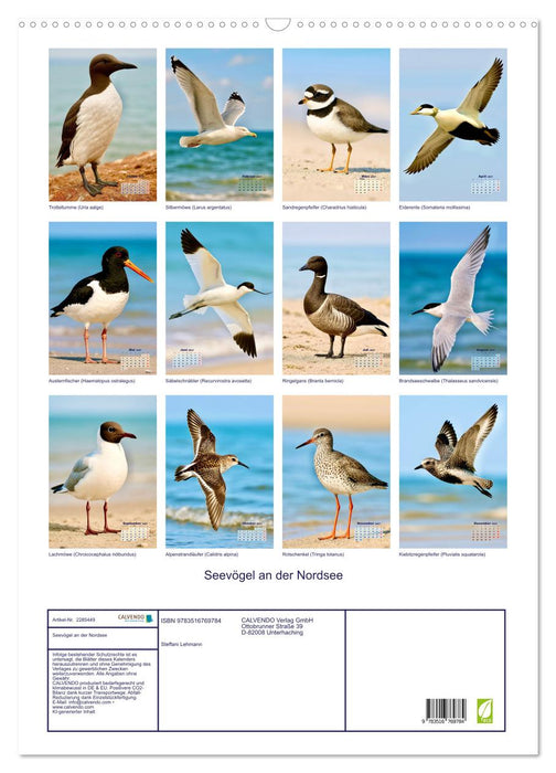 Seevögel an der Nordsee (CALVENDO Wandkalender 2027)