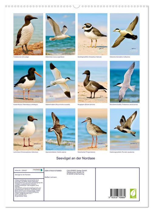 Seevögel an der Nordsee (CALVENDO Premium Wandkalender 2027)