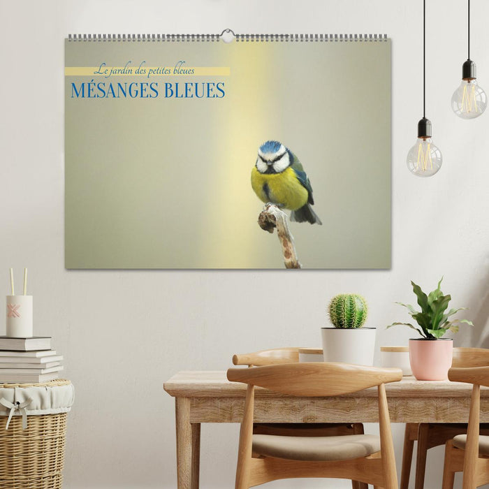 Mésanges bleues (CALVENDO Calendrier mensuel 2027)