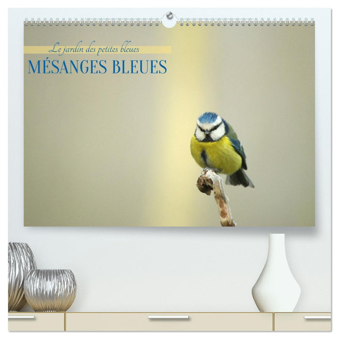 Mésanges bleues (CALVENDO Calendrier supérieur 2027)