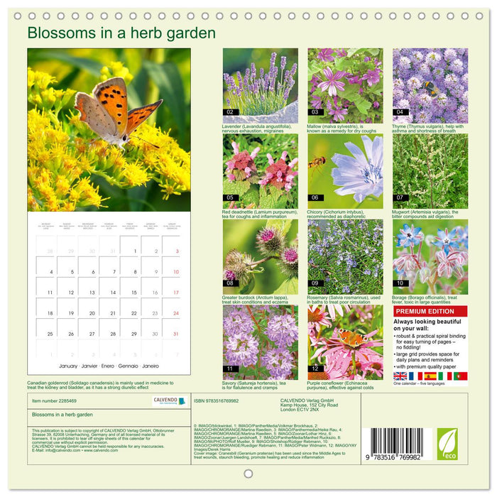 Blossoms in a herb garden (CALVENDO Monthly Calendar 2027)