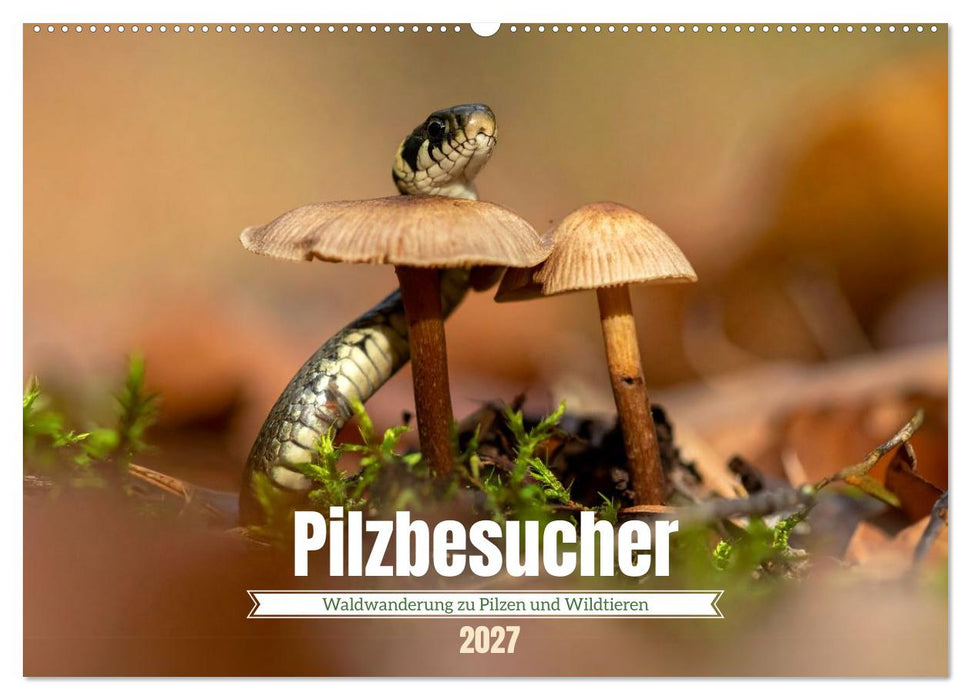 Pilzbesucher (CALVENDO Wandkalender 2027)