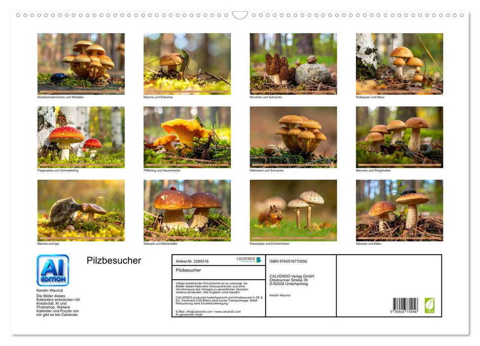 Pilzbesucher (CALVENDO Wandkalender 2027)