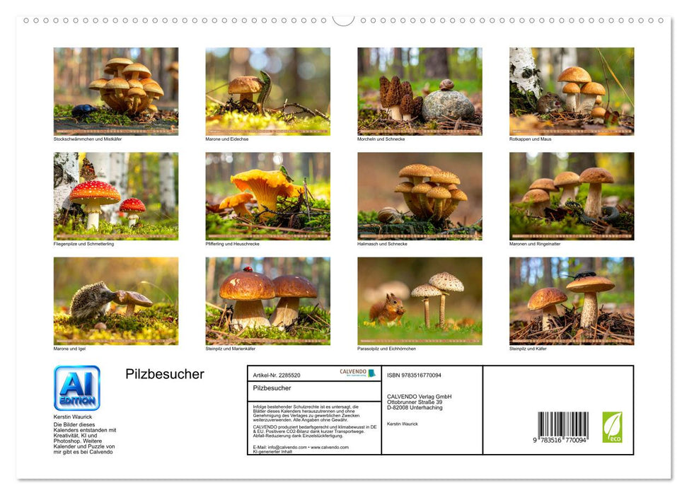Pilzbesucher (CALVENDO Premium Wandkalender 2027)