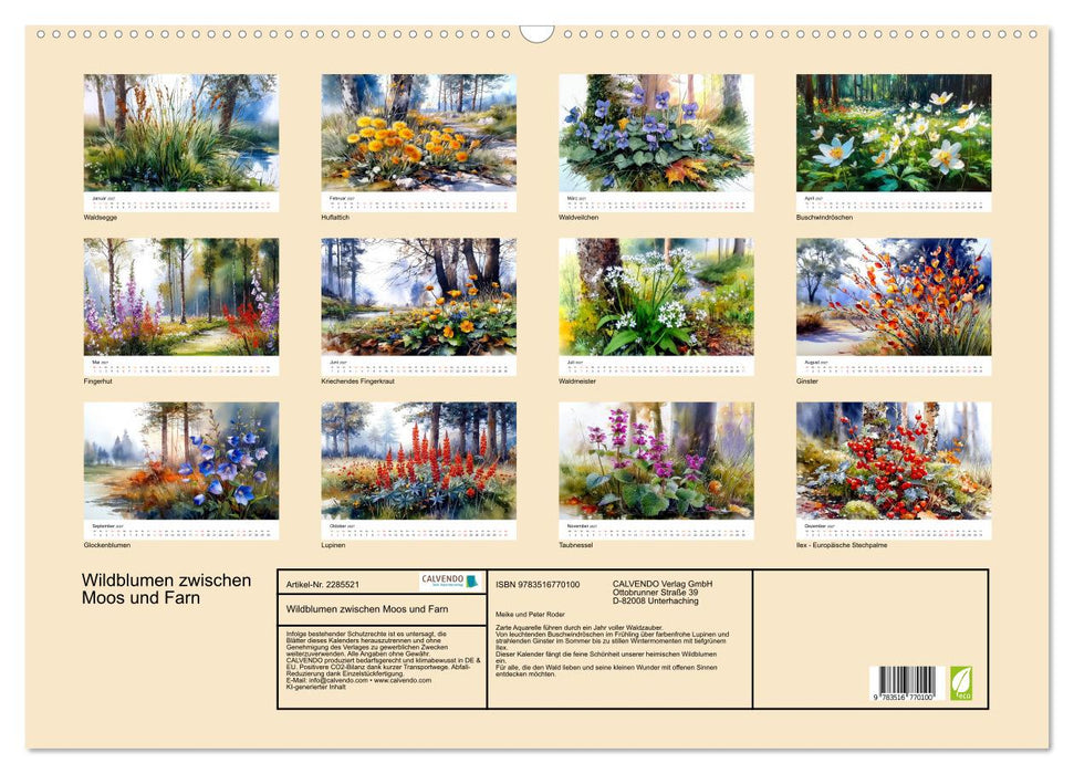Wildblumen zwischen Moos und Farn (CALVENDO Wandkalender 2027)