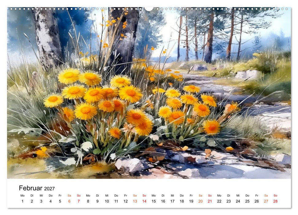 Wildblumen zwischen Moos und Farn (CALVENDO Wandkalender 2027)