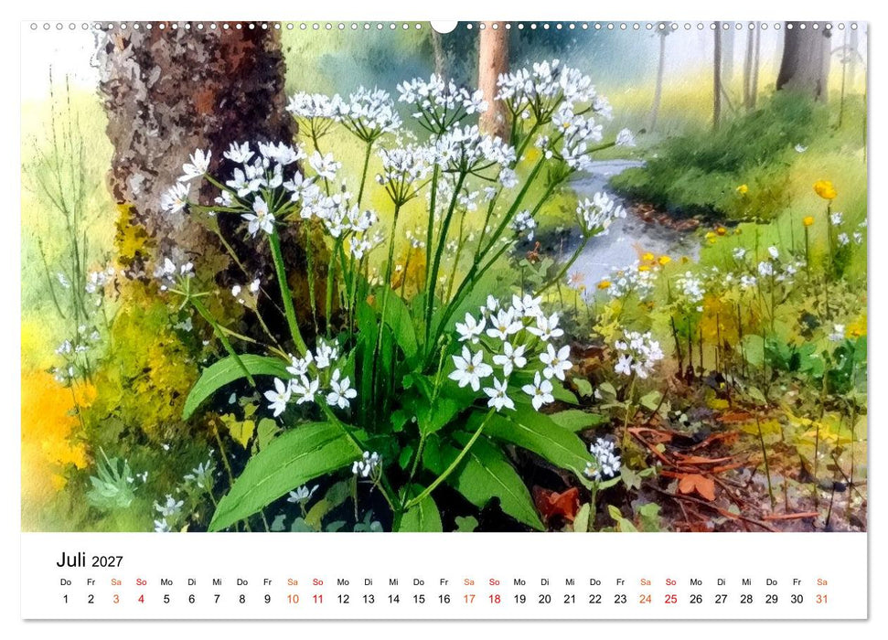 Wildblumen zwischen Moos und Farn (CALVENDO Premium Wandkalender 2027)