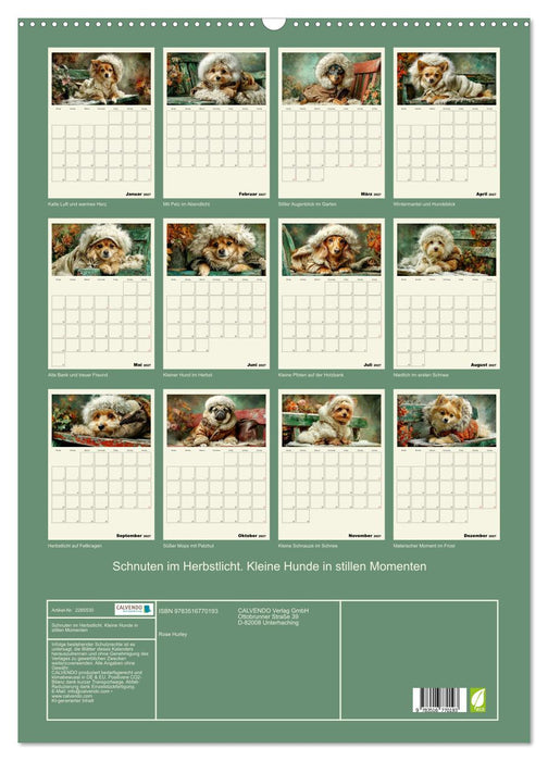 Schnuten im Herbstlicht. Kleine Hunde in stillen Momenten (CALVENDO Wandkalender 2027)