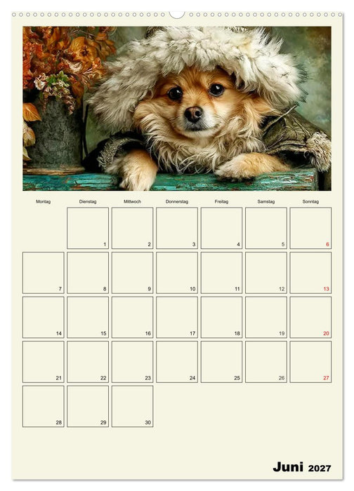 Schnuten im Herbstlicht. Kleine Hunde in stillen Momenten (CALVENDO Premium Wandkalender 2027)