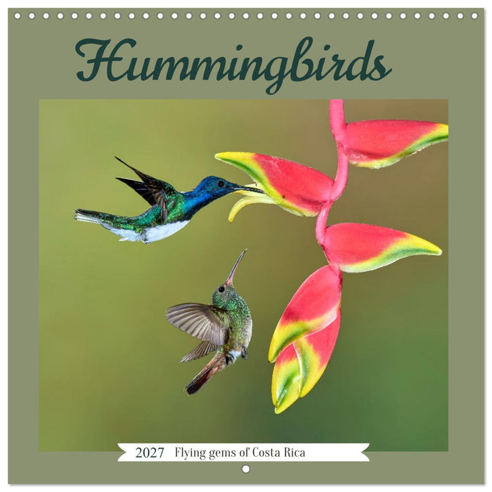 Hummingbirds – Flying Gems of Costa Rica (CALVENDO Monthly Calendar 2027)