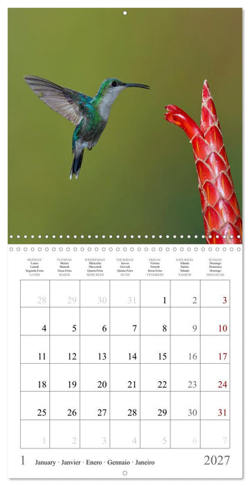 Hummingbirds – Flying Gems of Costa Rica (CALVENDO Monthly Calendar 2027)