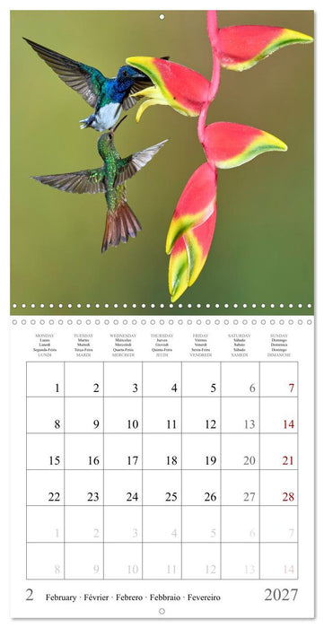 Hummingbirds – Flying Gems of Costa Rica (CALVENDO Monthly Calendar 2027)