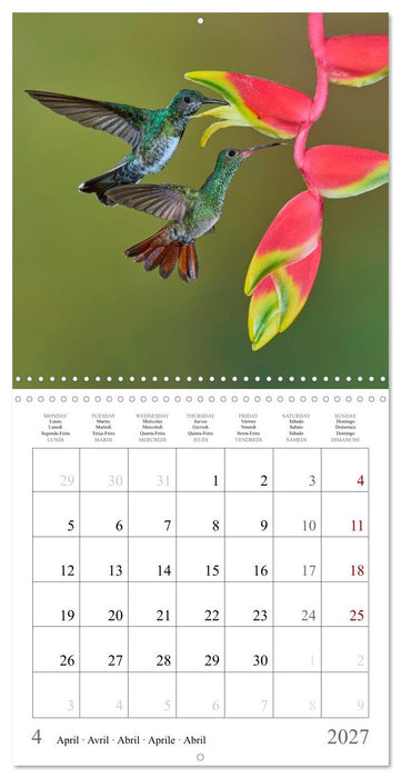 Hummingbirds – Flying Gems of Costa Rica (CALVENDO Monthly Calendar 2027)