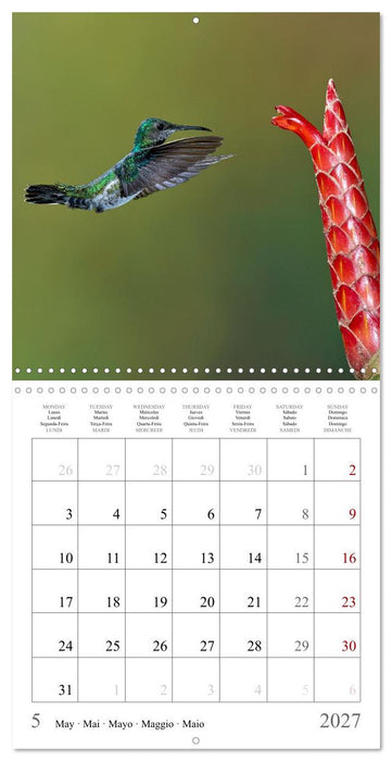 Hummingbirds – Flying Gems of Costa Rica (CALVENDO Monthly Calendar 2027)