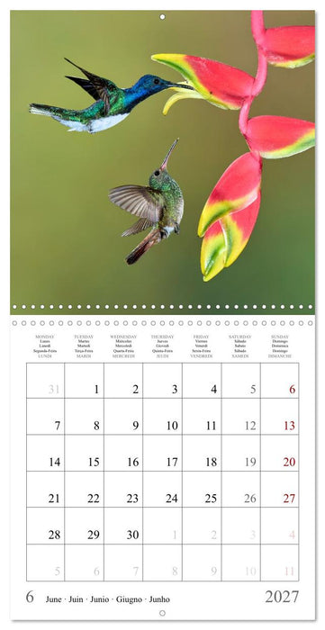 Hummingbirds – Flying Gems of Costa Rica (CALVENDO Monthly Calendar 2027)