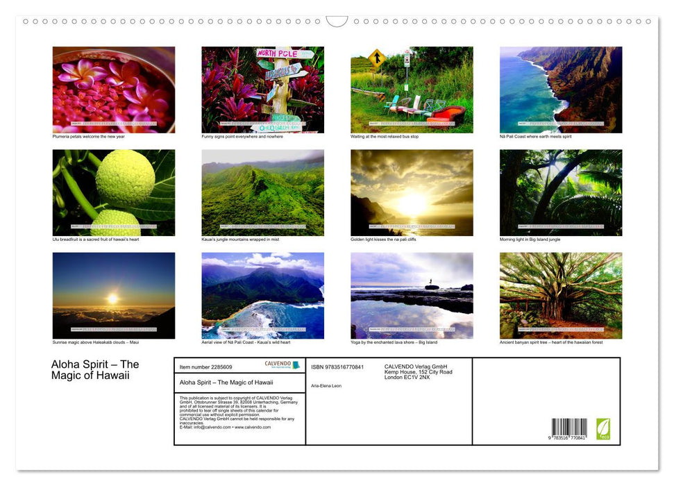 Aloha Spirit – The Magic of Hawaii (CALVENDO Monthly Calendar 2027)