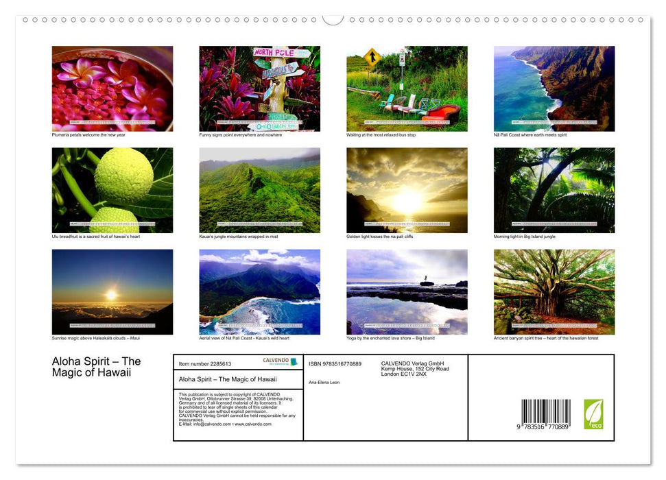 Aloha Spirit – The Magic of Hawaii (CALVENDO Premium-Calendar 2027)