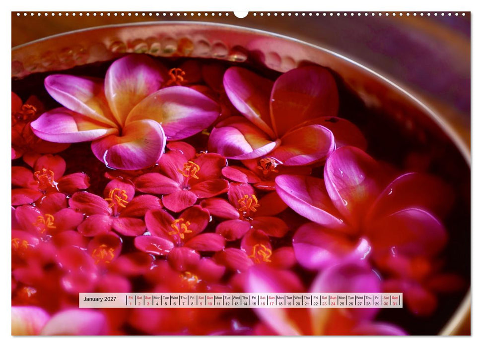 Aloha Spirit – The Magic of Hawaii (CALVENDO Premium-Calendar 2027)