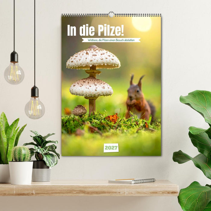 In die Pilze (CALVENDO Wandkalender 2027)
