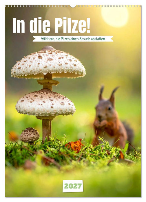 In die Pilze (CALVENDO Wandkalender 2027)