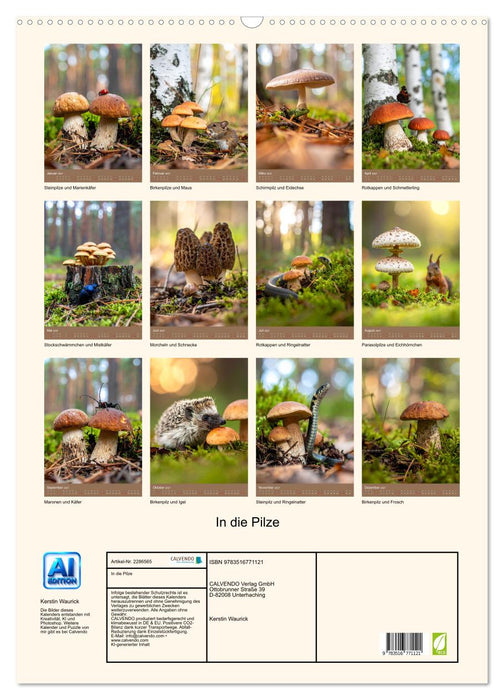 In die Pilze (CALVENDO Wandkalender 2027)